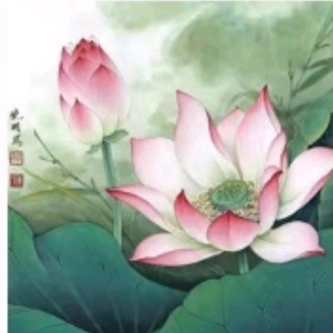 可依的成长记录