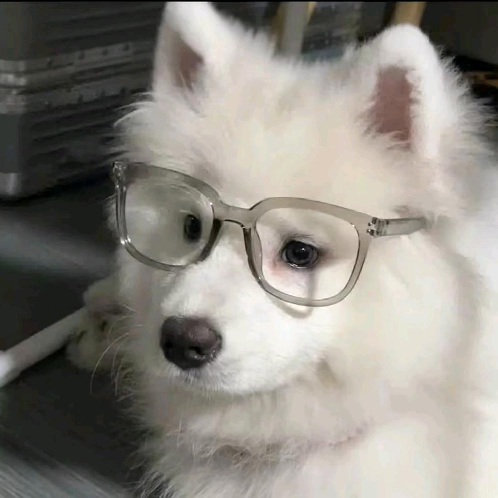 还没想好(๑•́ ₃ •̀๑)