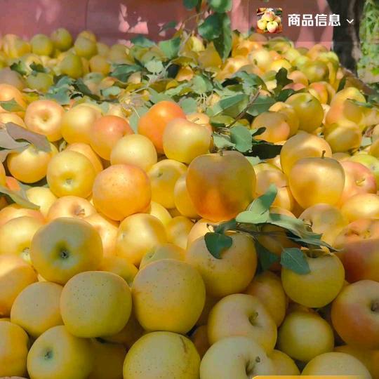 橘橙鲜生