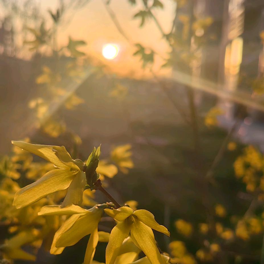 哈喽-Morning