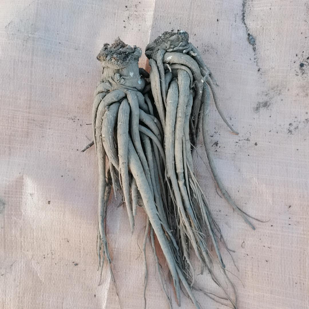 漳县祥祥滋补农品甄选小铺