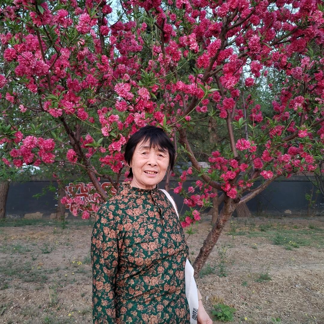 农家菜园🌻🌻🌻🌻