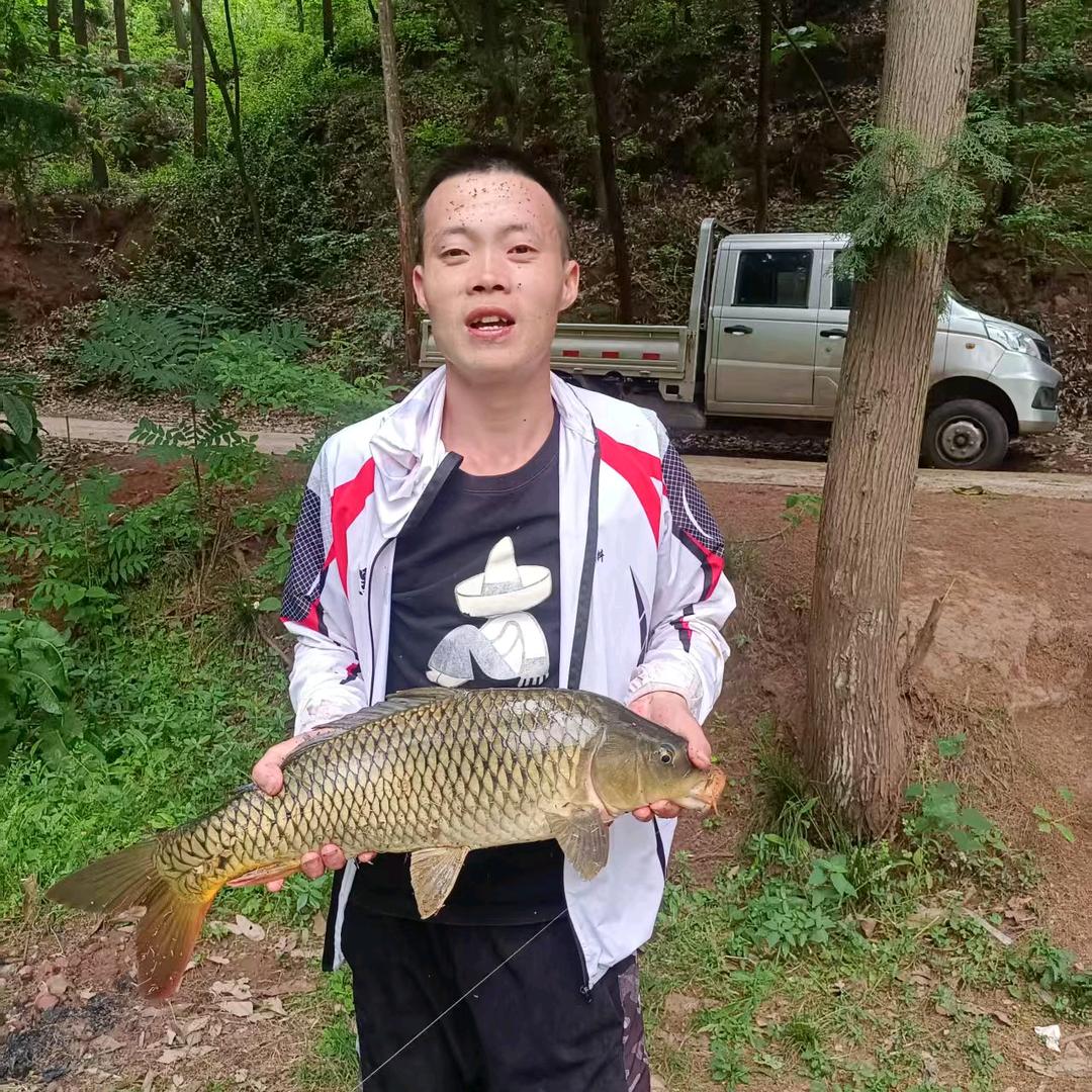 西瓜广福白条哥