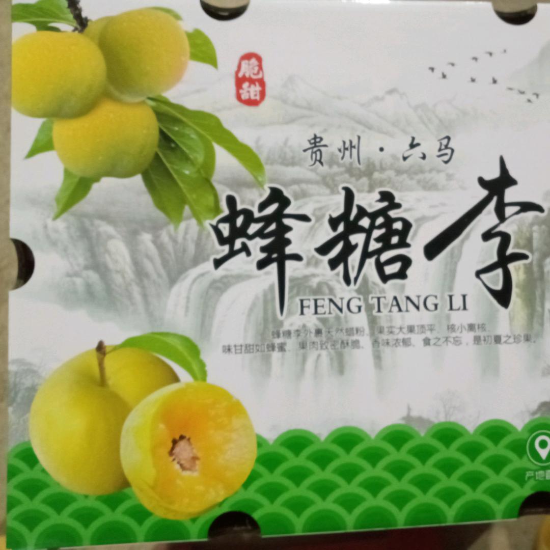 同心