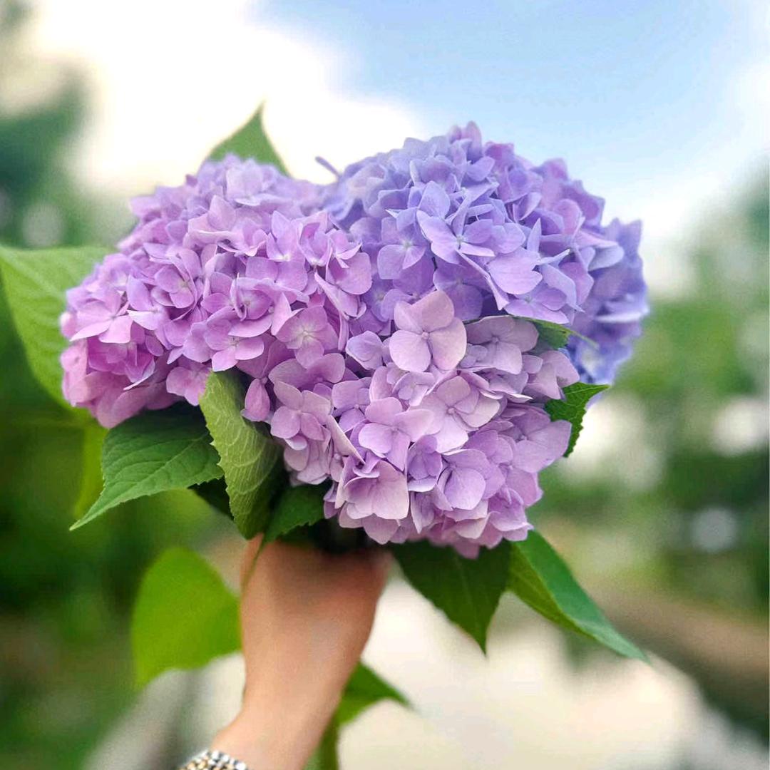 ꧁💞笑敬🍒过往💞꧂