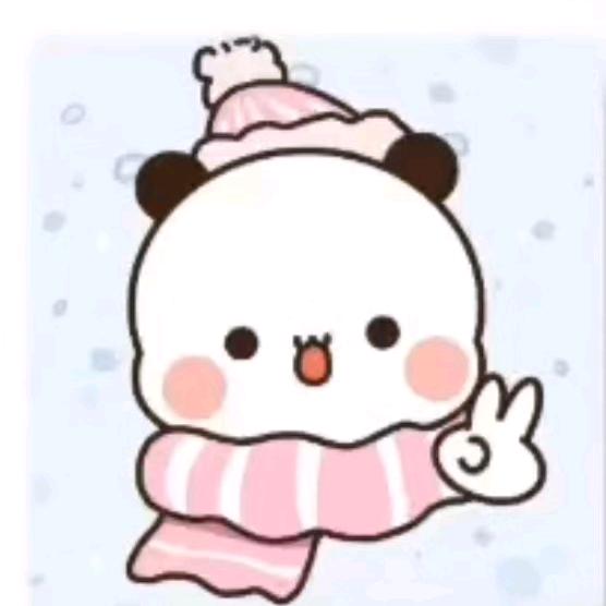 布布的一二