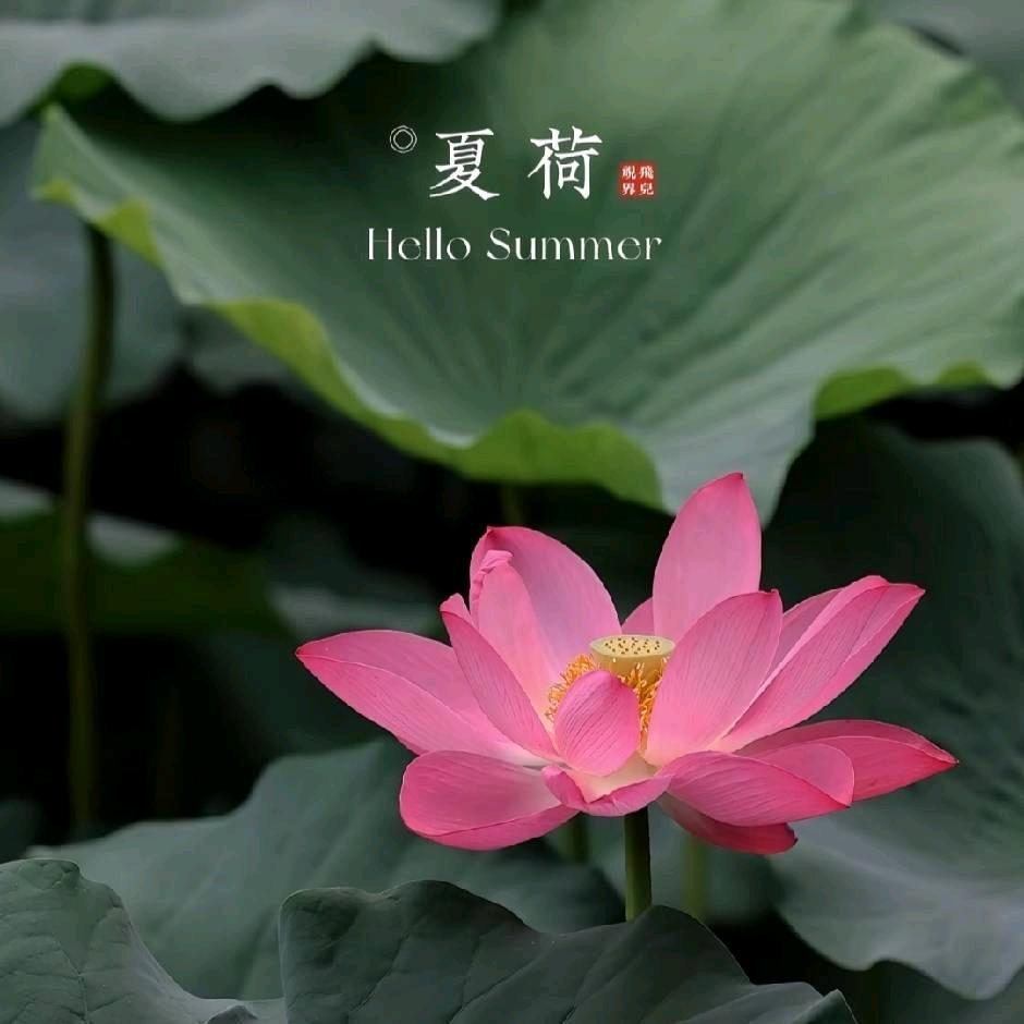 留『1』半清醒