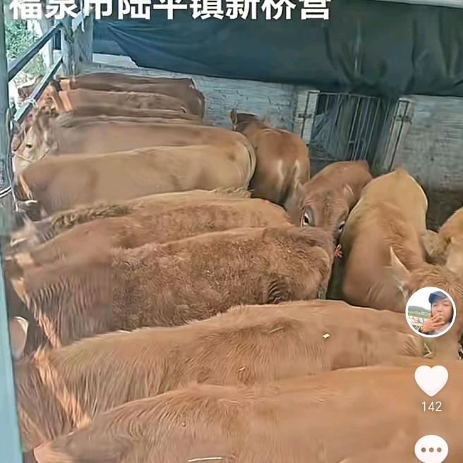 真诚做事，诚信做人。