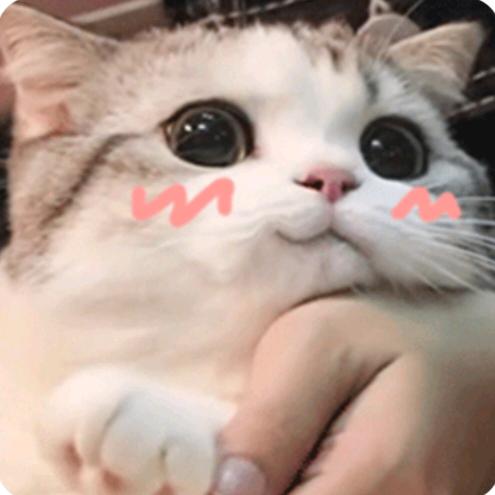 🫂(๑˘³˘๑)💗💗💗