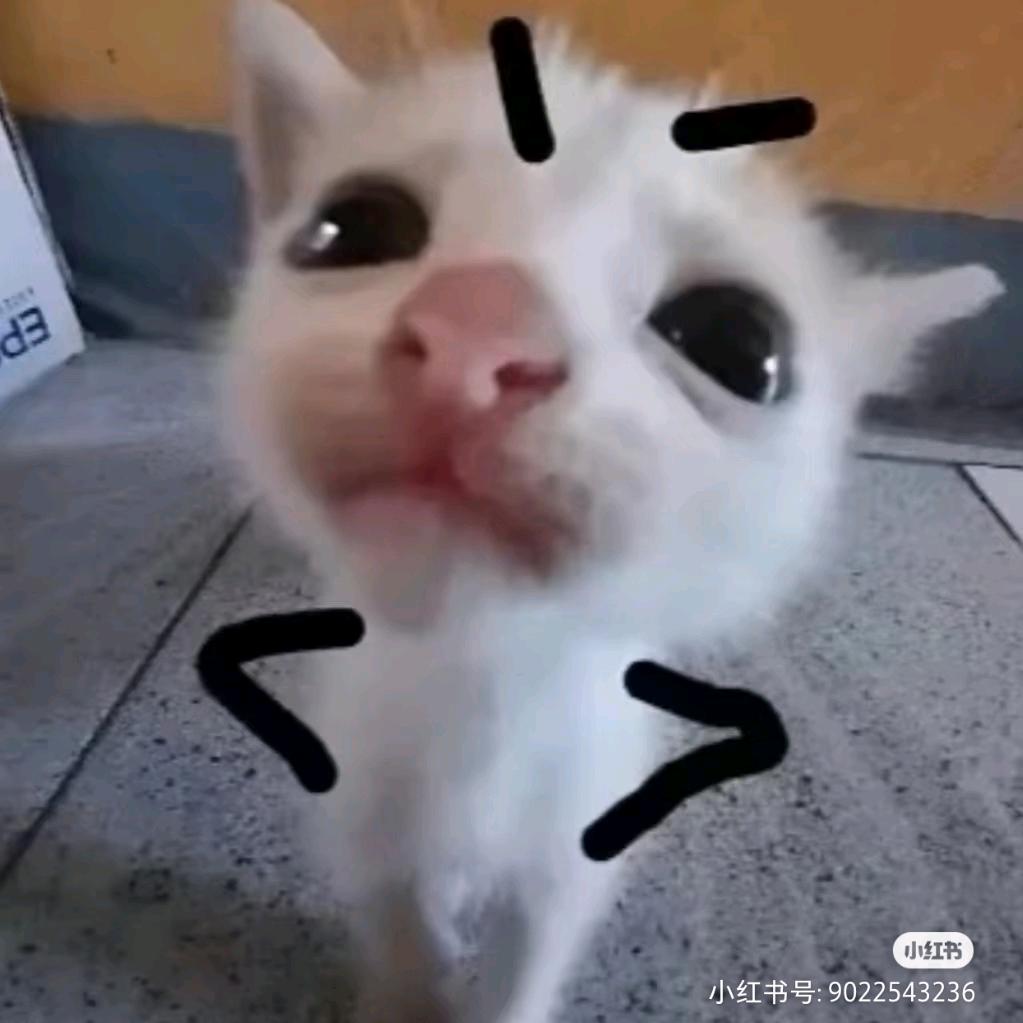 桑落