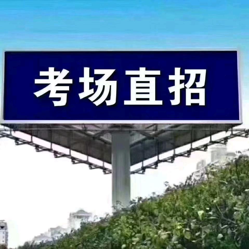 童辉教练