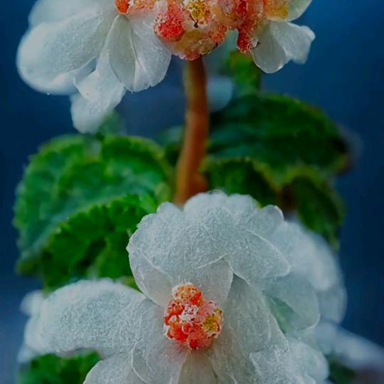 ～一杯清茶品天下@～