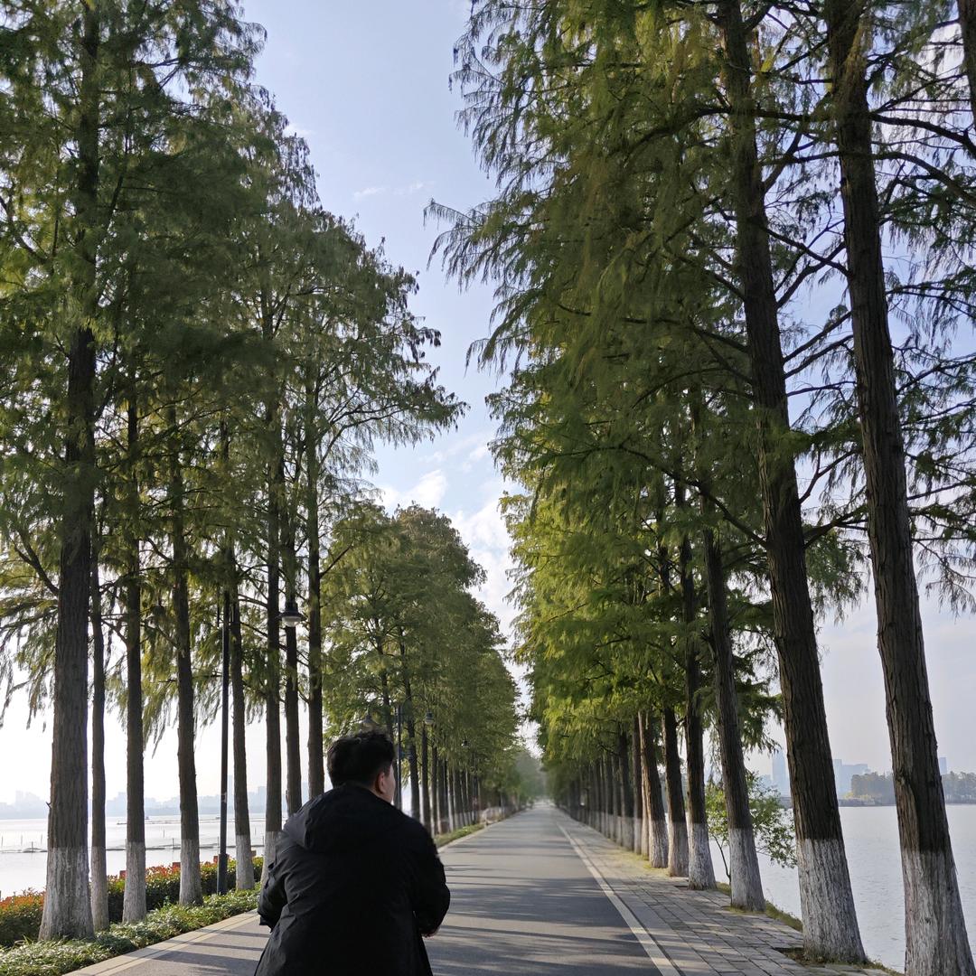 海