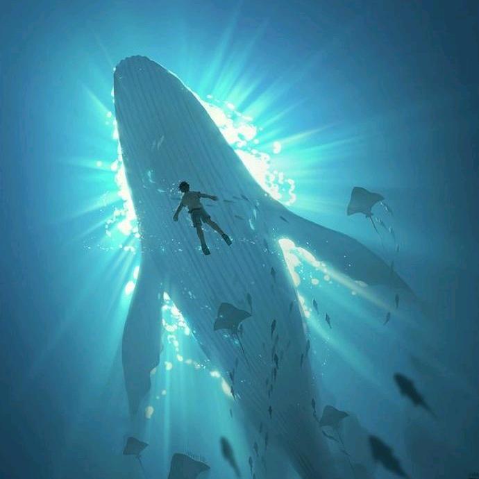 小萝同学的朋友圈⭕