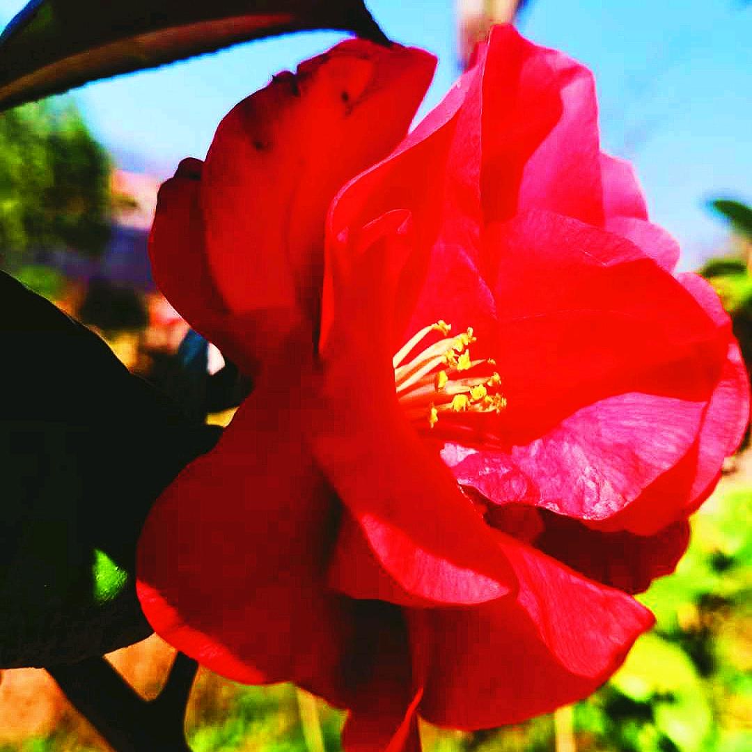 ℳঞ🍒人间 ꦿ 清醒꧔ꦿ᭄搞钱要紧🌸