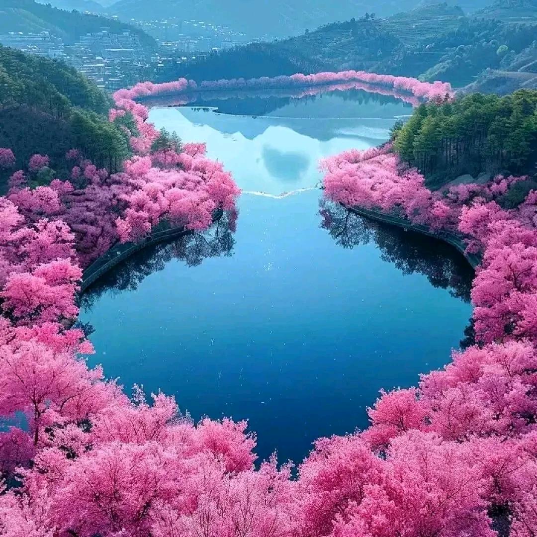 东北姜姜姐～松花砚