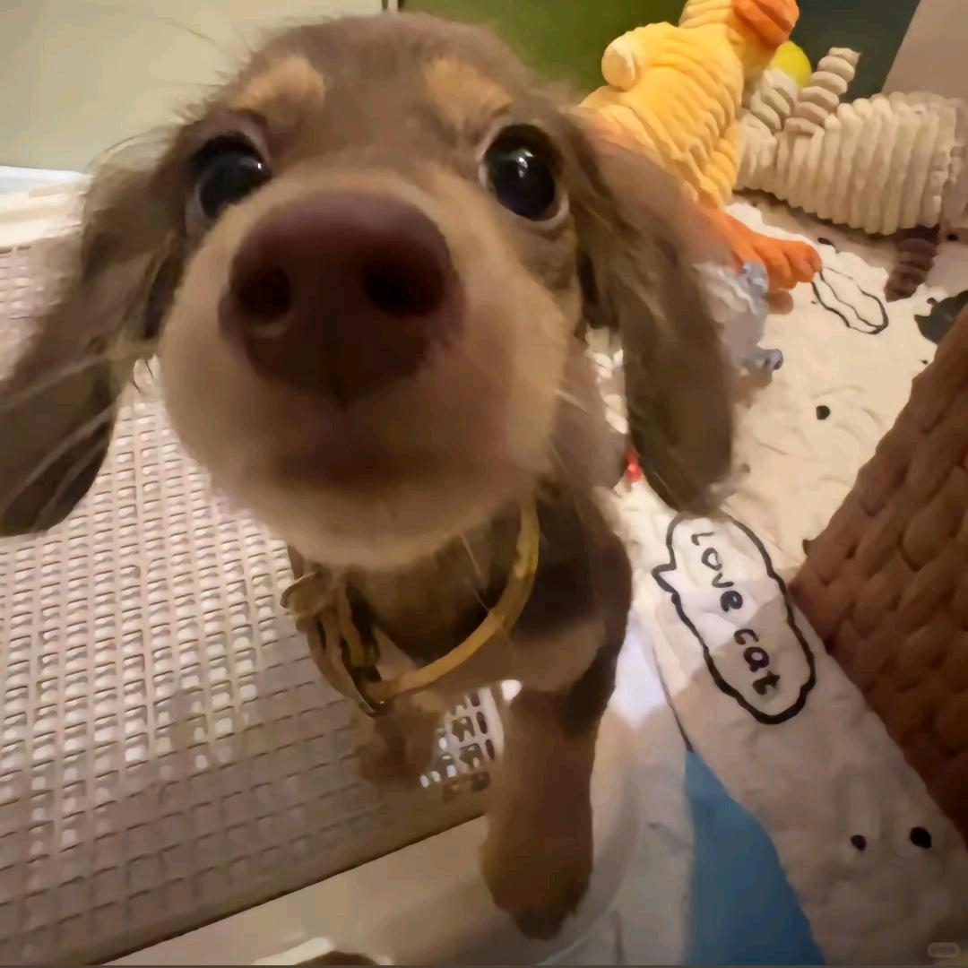最近开心吗～