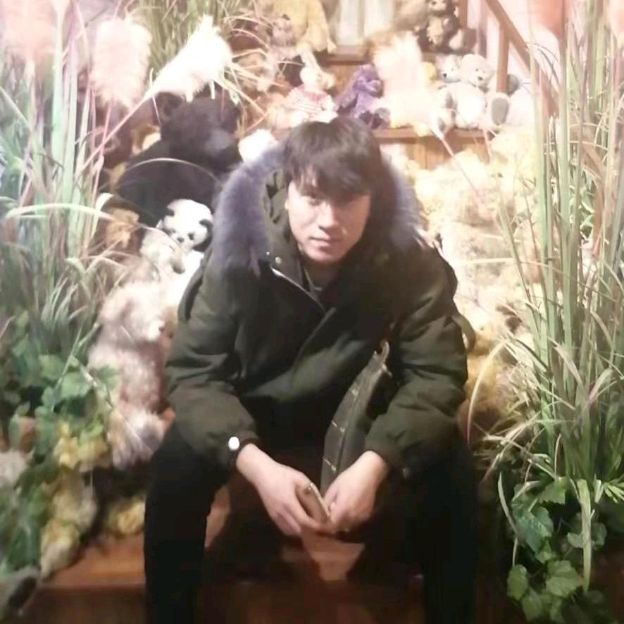 房不胜房思琪店大鹏