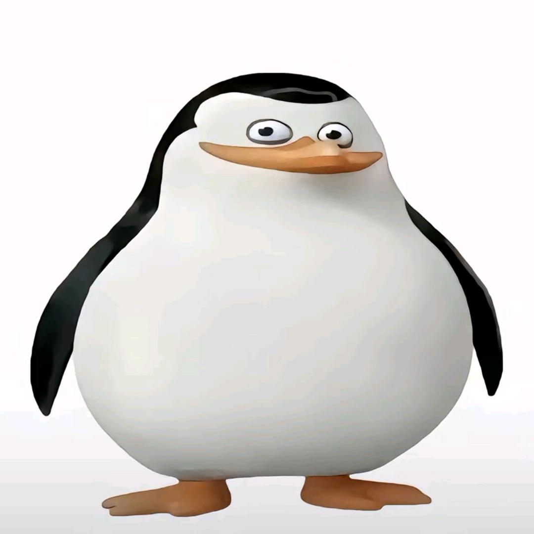 嘉龙.