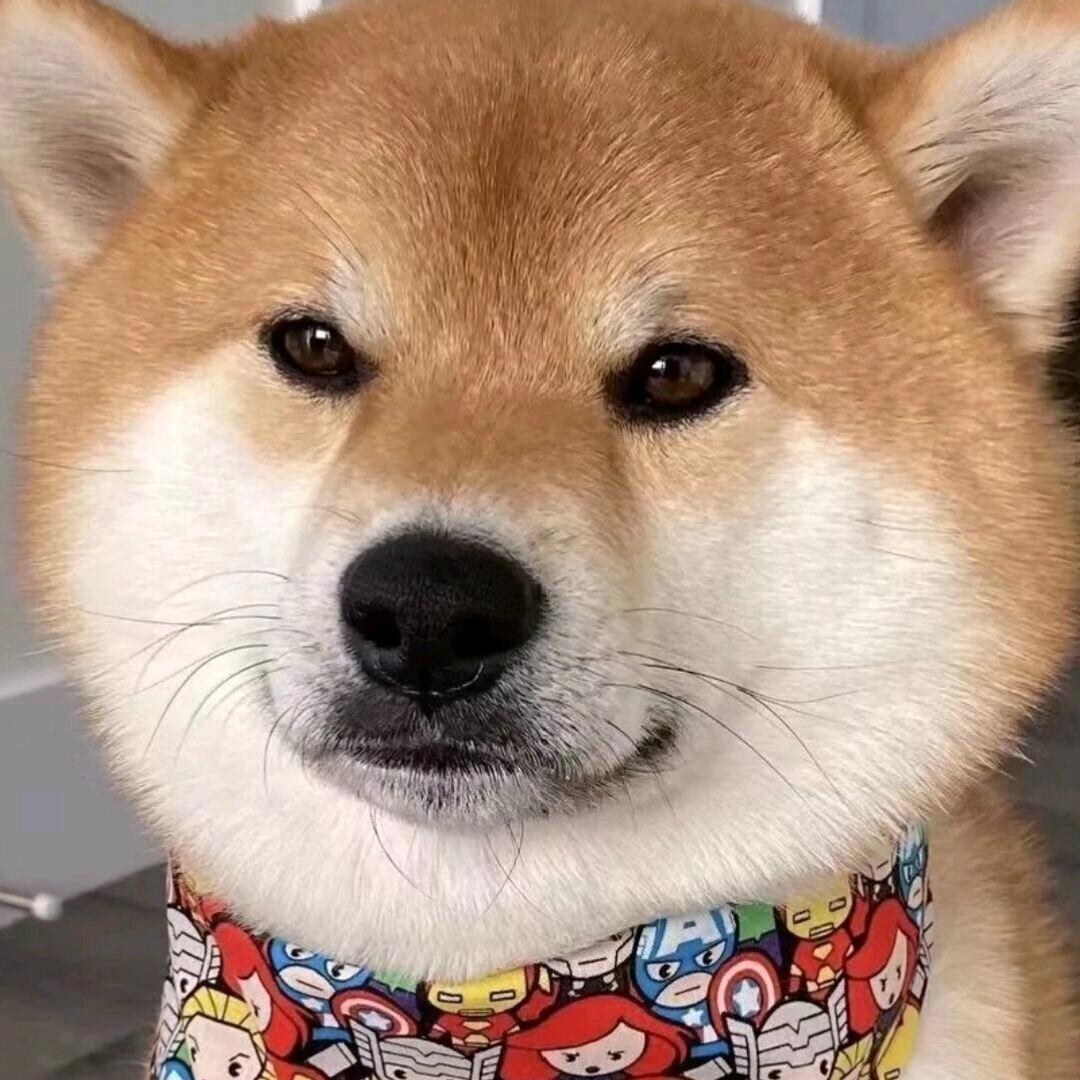 仍在南方