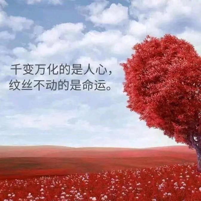 无奈的人生