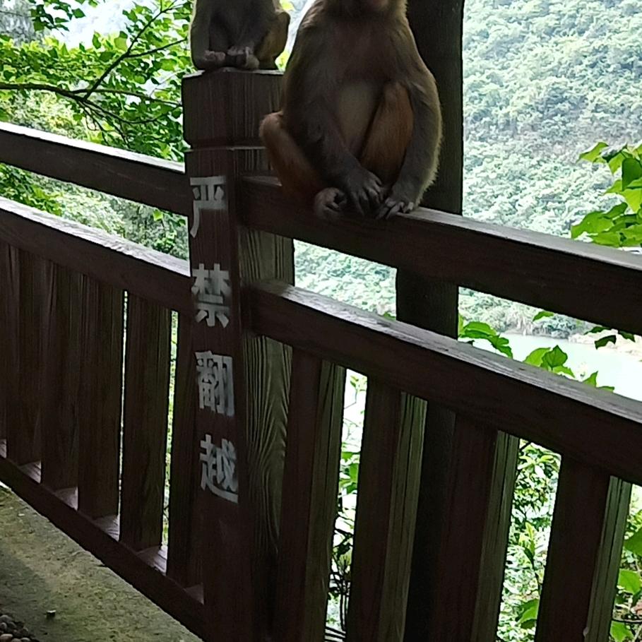 都是别人的，没有自己的，谢谢有人喜欢