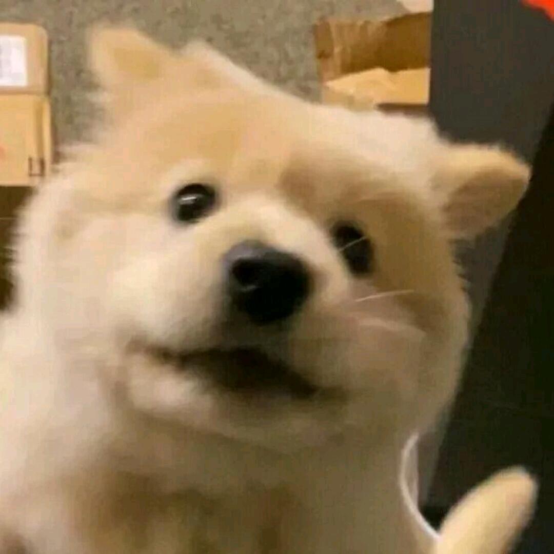 狂人