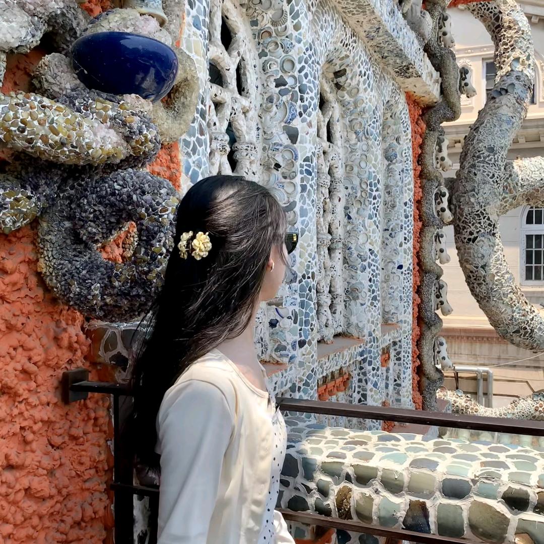 小灿不想睡觉💤