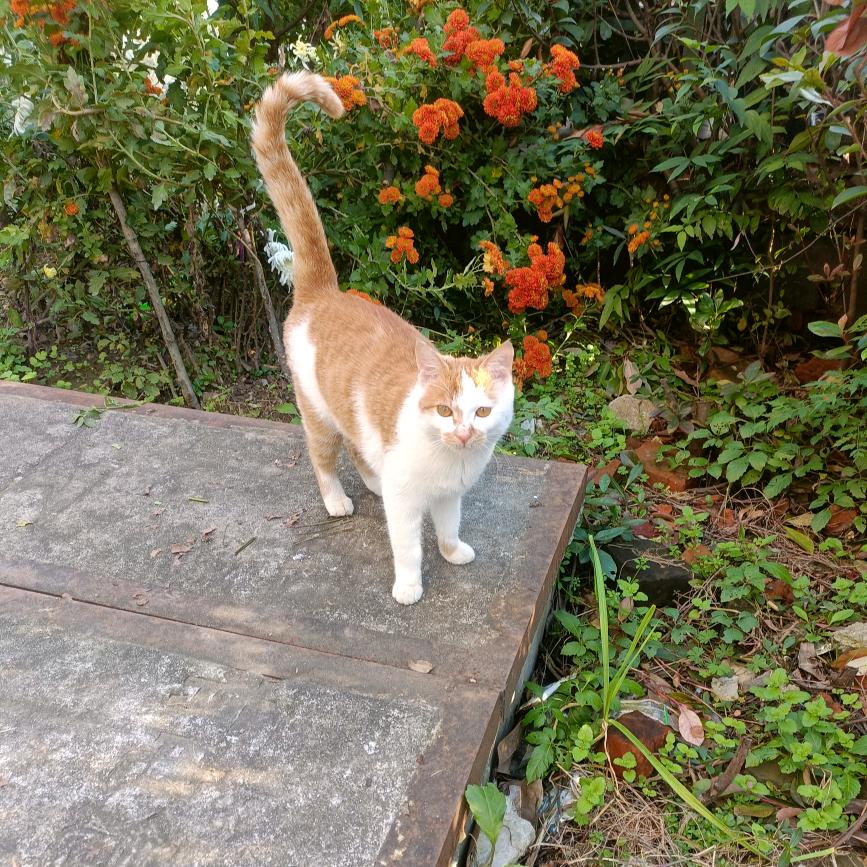 喜欢小动物的王明💃🐱