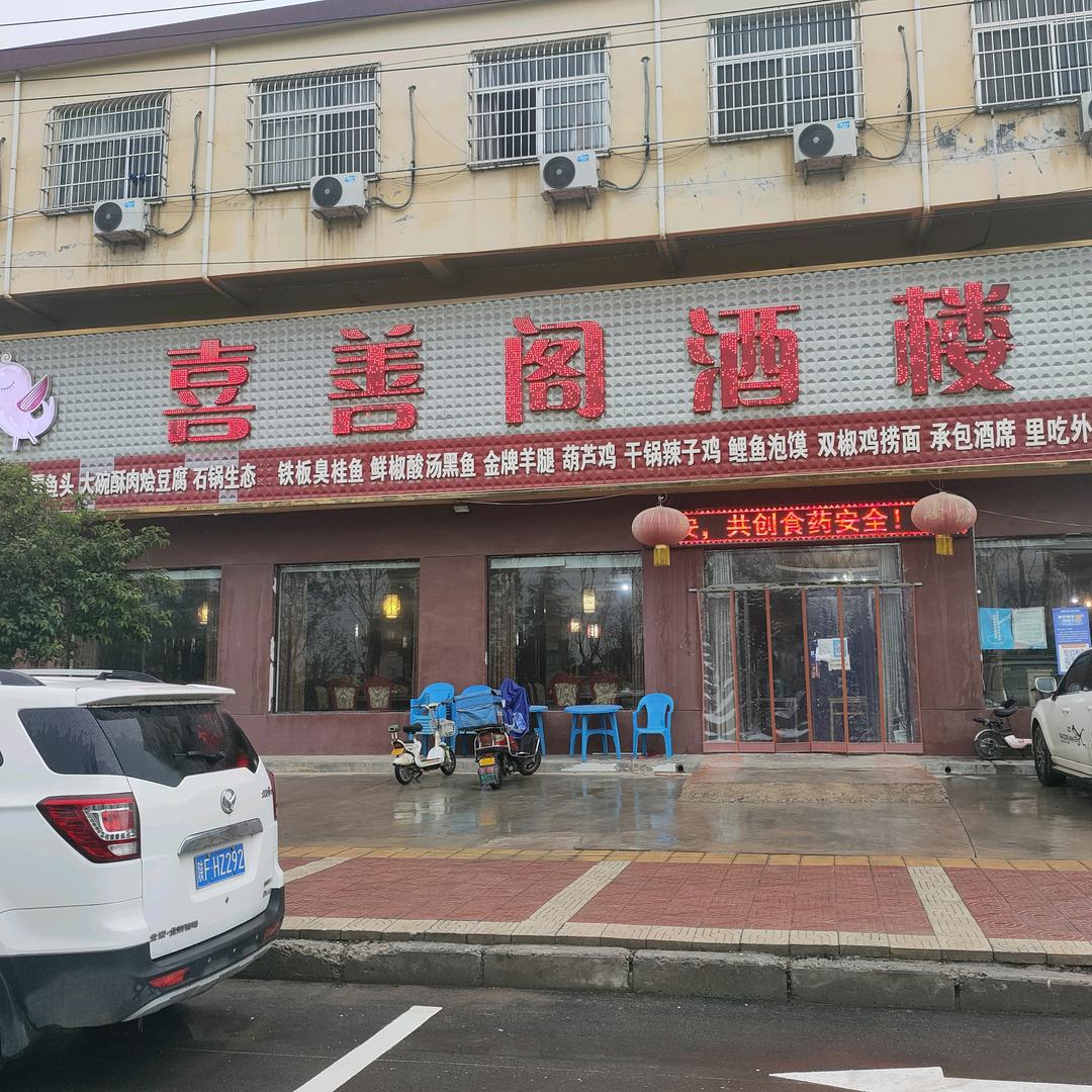 女王笨笨(辻弎)