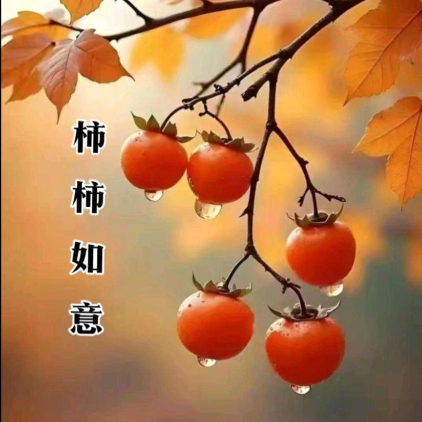 @慧子