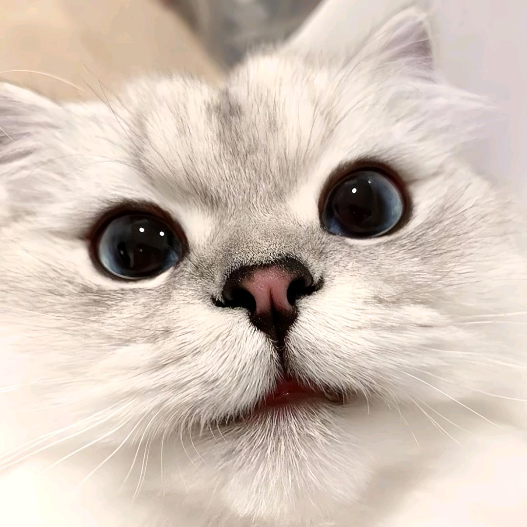 月吾记