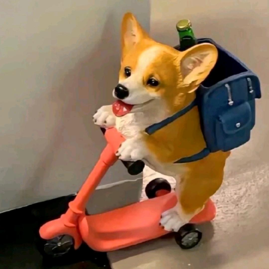 o，略略略略略略