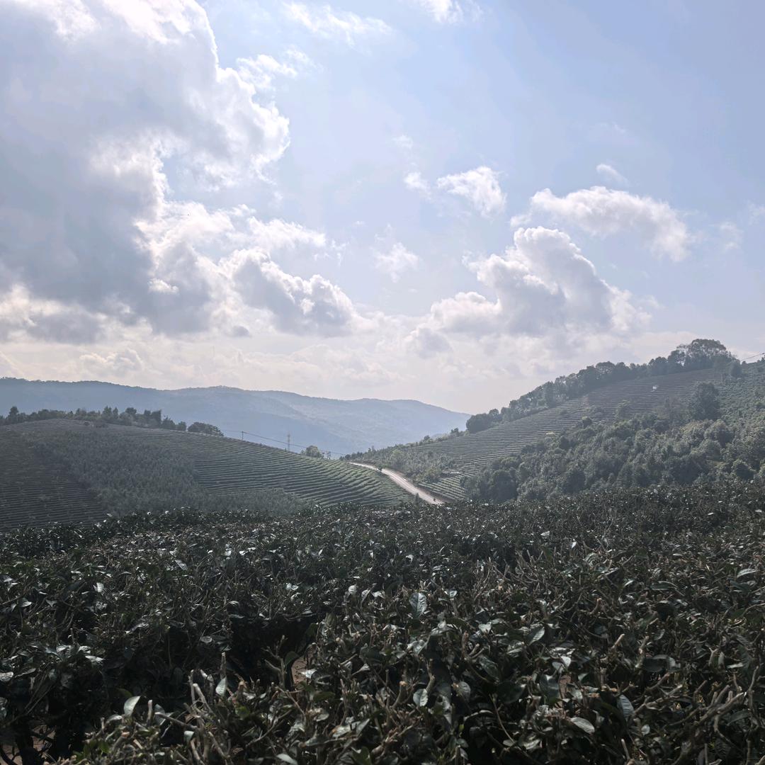 嗯嗯