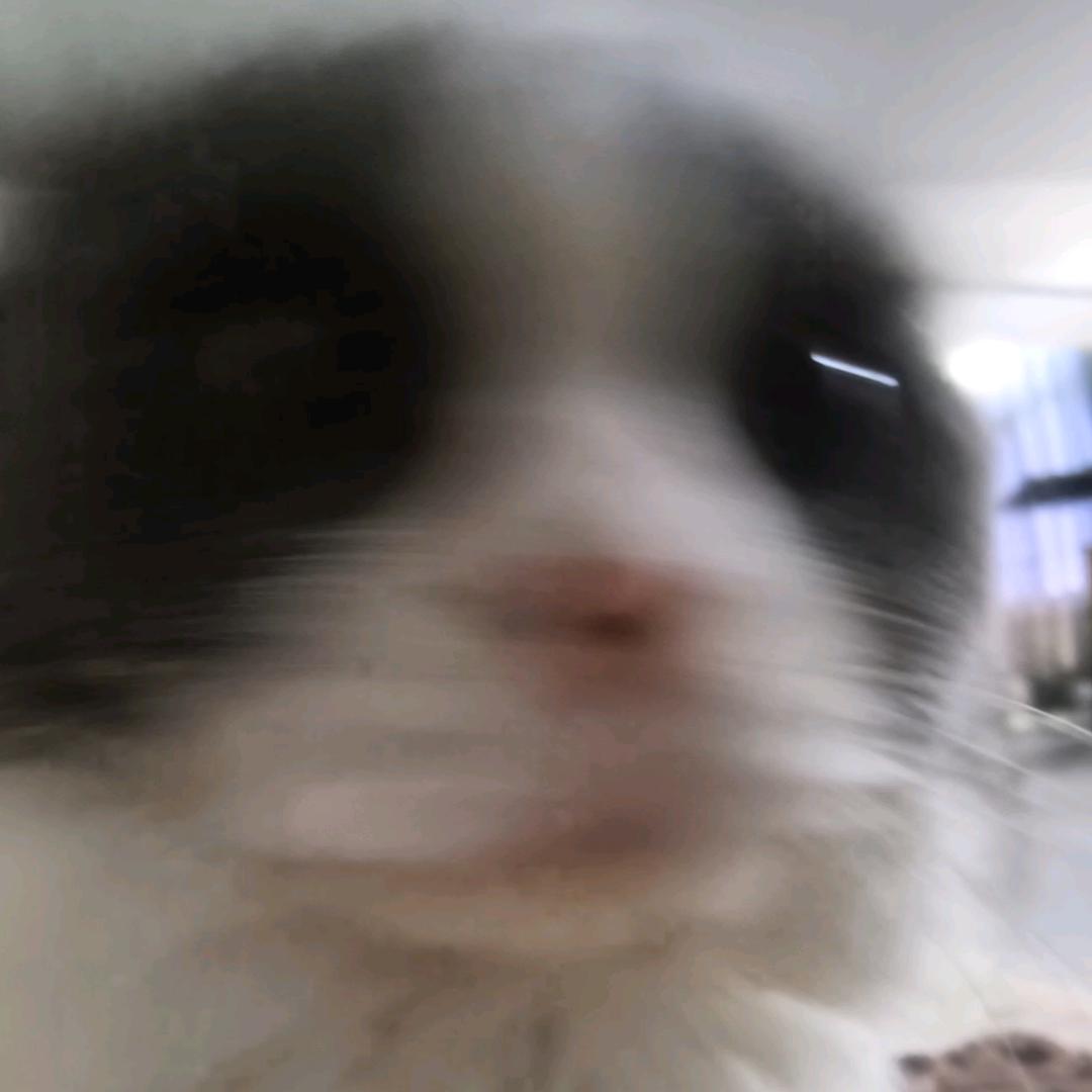 ·