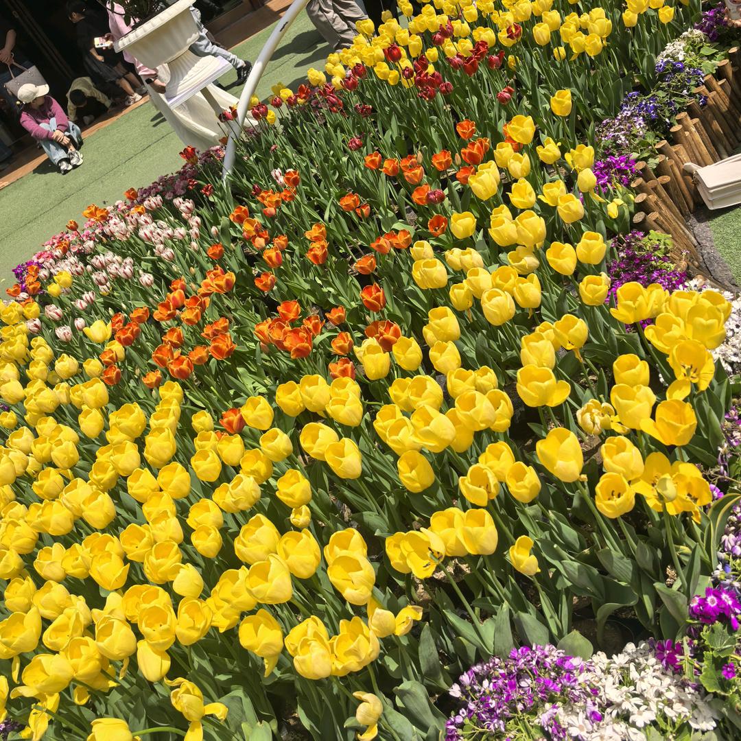 三陶智习室新乡县县一中校区