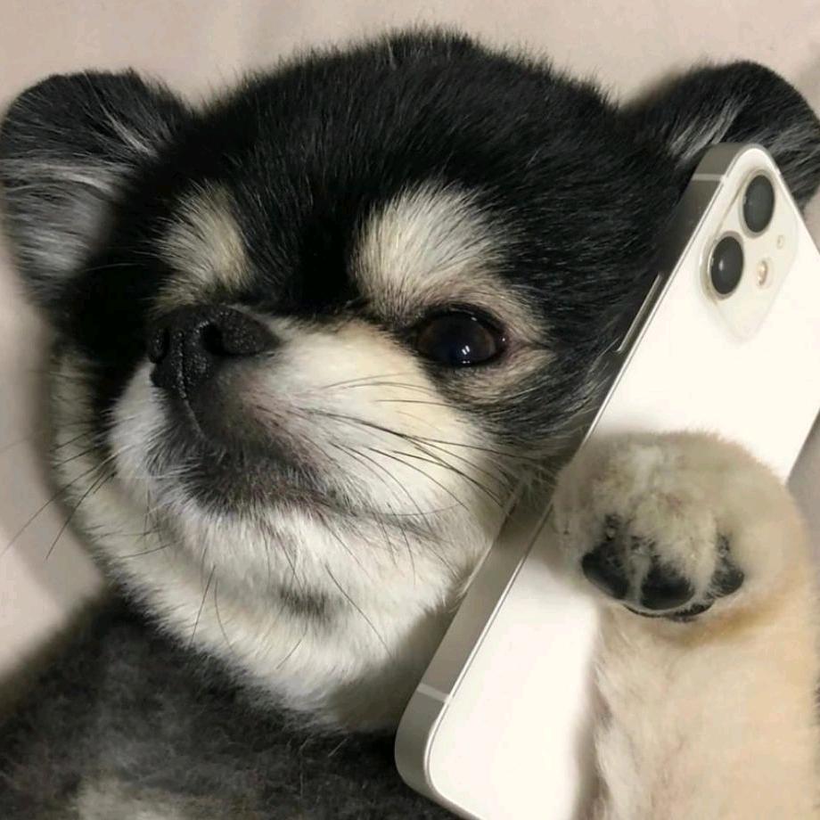 山东农业工程学院豆豆学姐