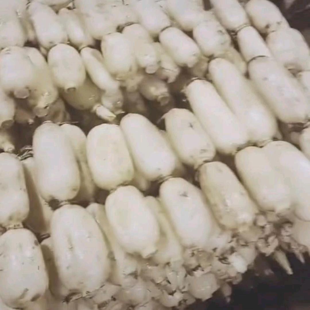 专业收大莲藕。