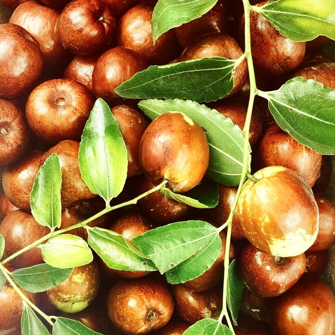 枣乡人家优品超市