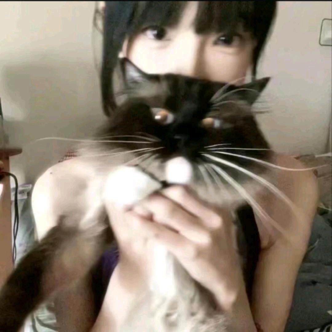 猫猫不吃姜∂