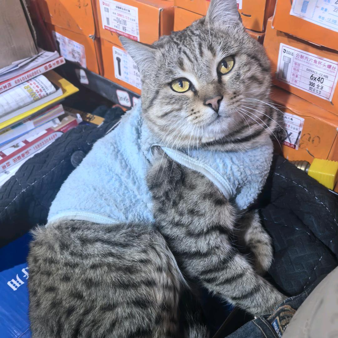 库尔勒耀辉螺丝通风大全