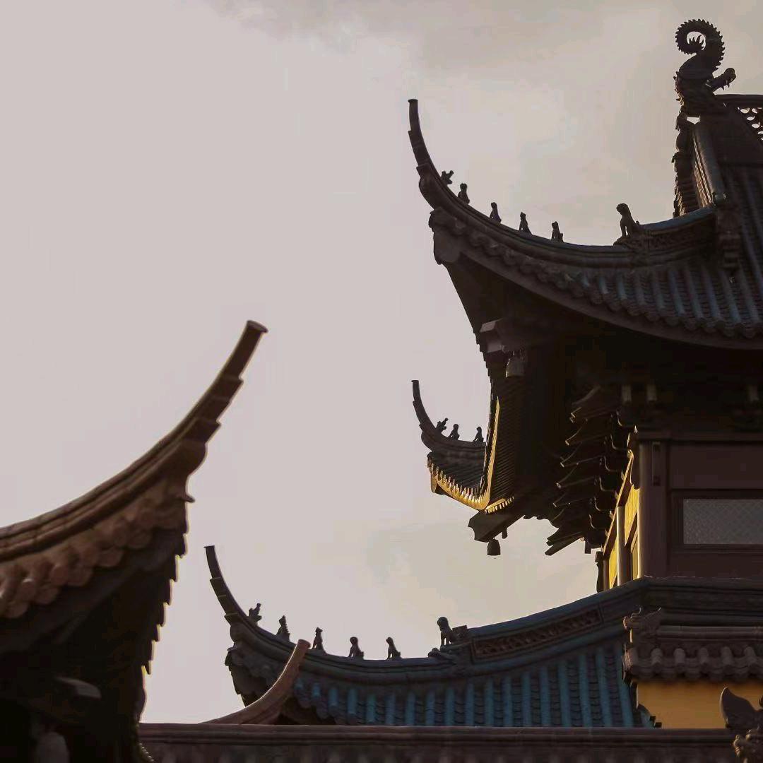 清风语荷