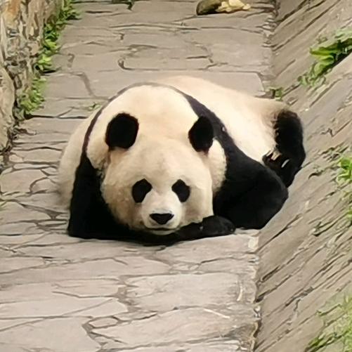 天真无邪