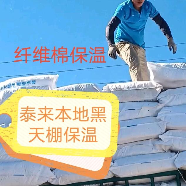 💦泰来本地黑天棚保温💦农村厨房排气扇