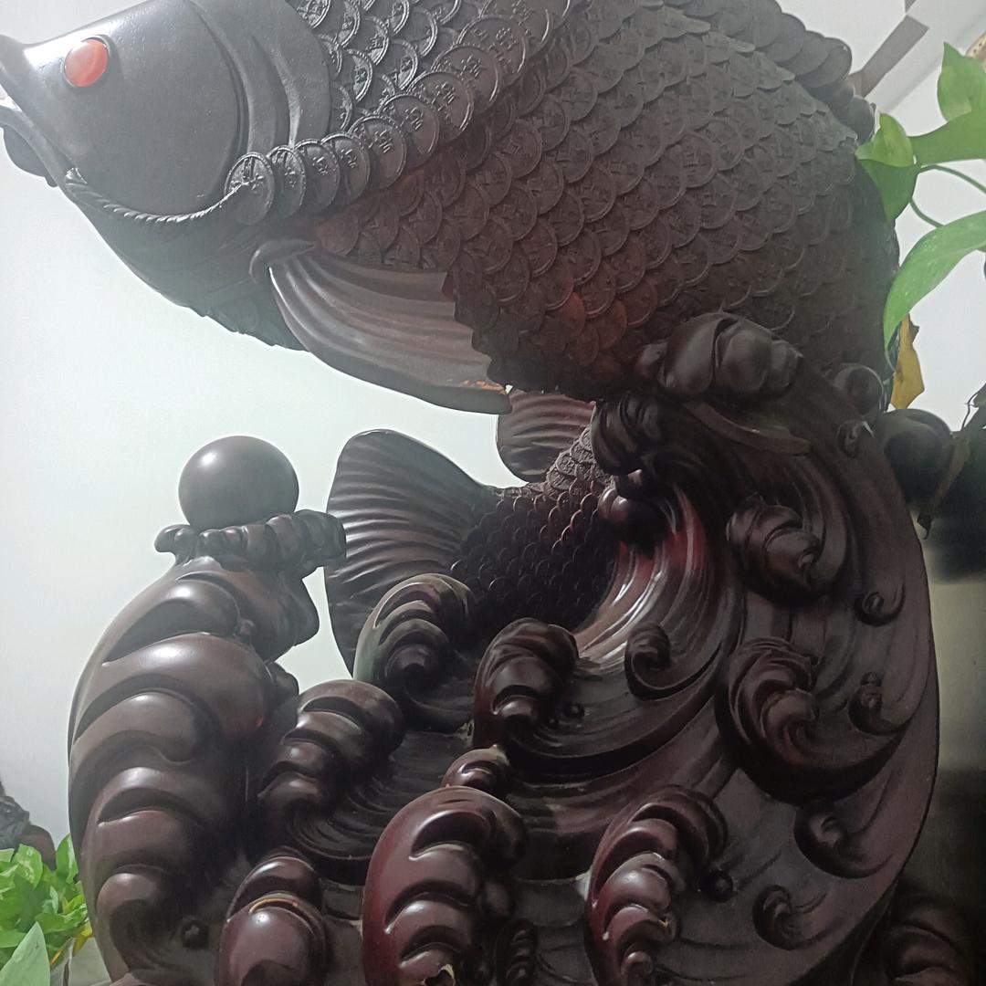 完美生活，任你摇摆