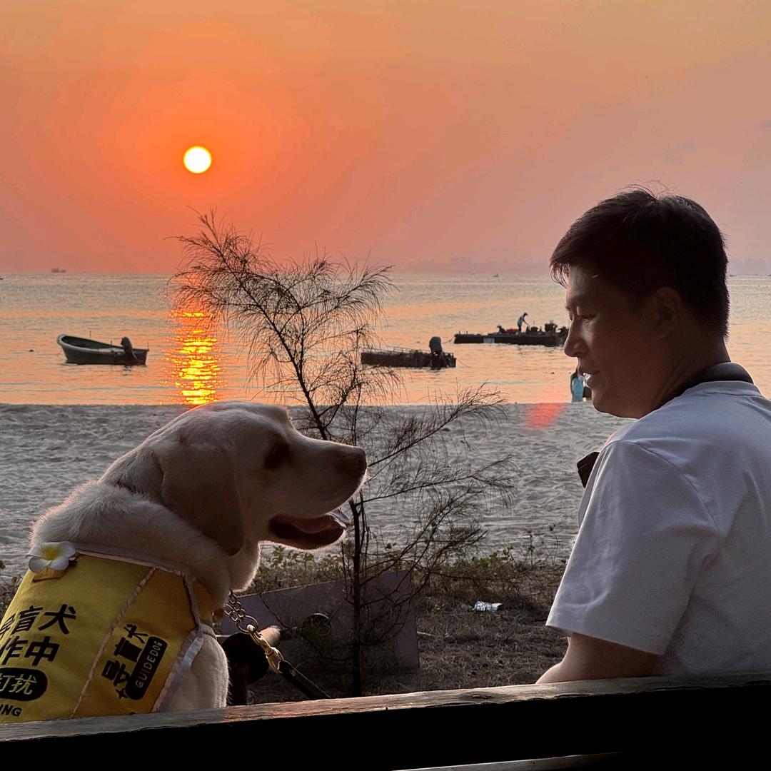 宝哥和他的导盲犬