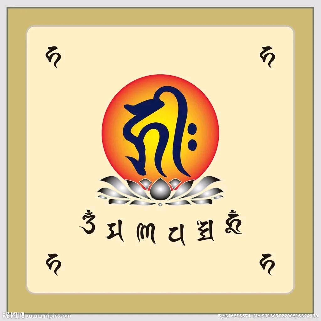 虞洋