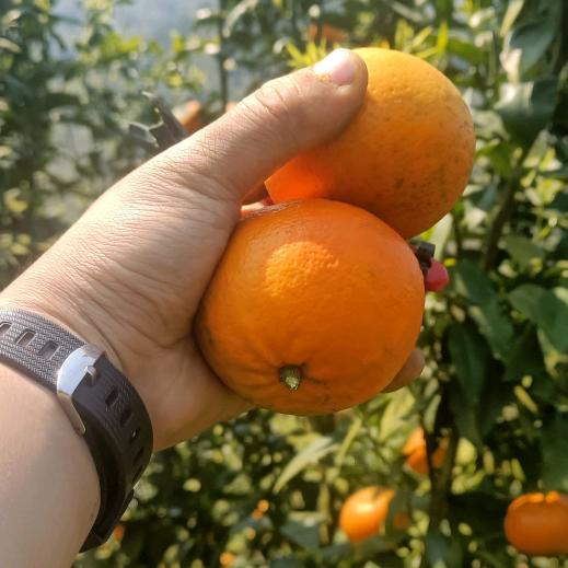 🌳綦江大好河山🌵美丽綦幻之都🌴