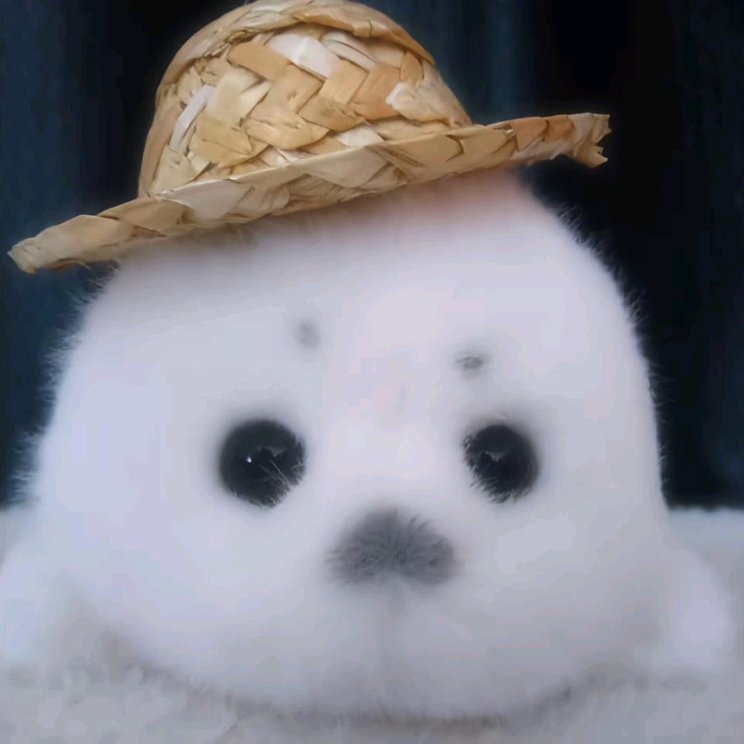 荆槭