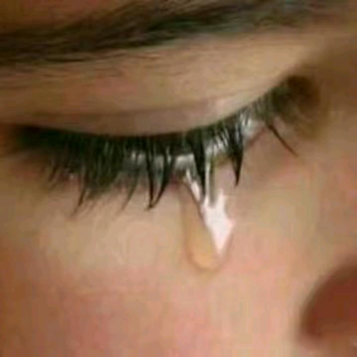 🍂叶落💔心碎🍂